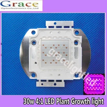 30 W yüksek güç LED kırmızı 660nm & mavi 470nm 4:1 bitki büyümek için ışık 24-26 V