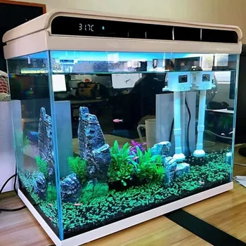 Sensen ultra beyaz cam küçük balık tankı oturma odası küçük masaüstü ev akvaryum balığı tankı ekolojik susuz akvaryum